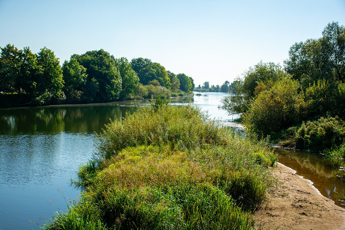 Lankupių tiltas, Minija link Kuršių marių